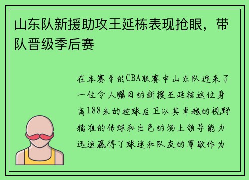 山东队新援助攻王延栋表现抢眼，带队晋级季后赛